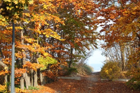 Herbststimmung